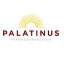 Palatinus 94' Kft.